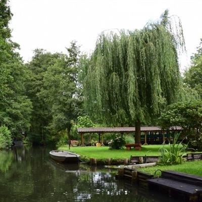 云开全站登录app